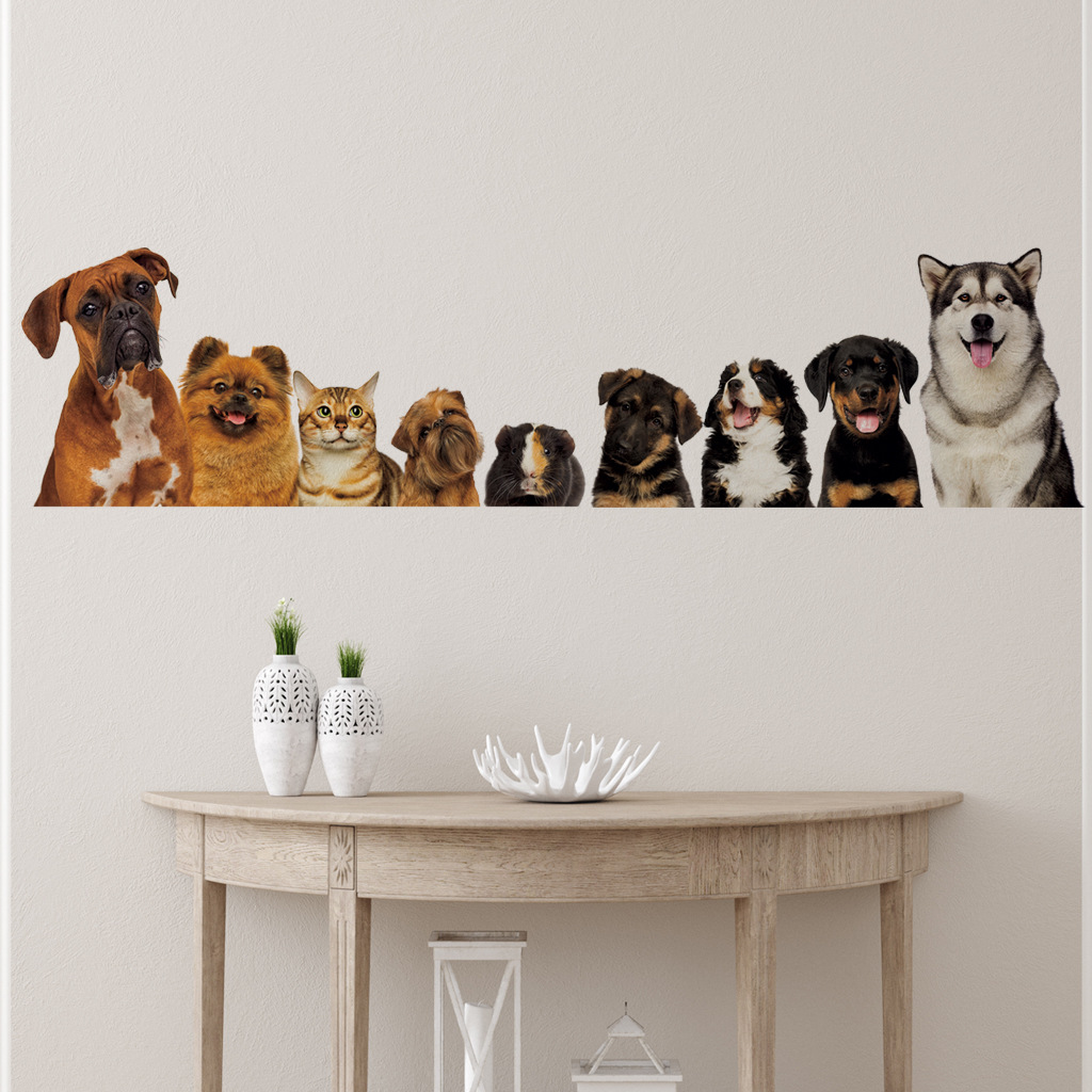 C30 #   9 simpatici gatti e ca - Home Cinema Wallpaper recensione e prezzo