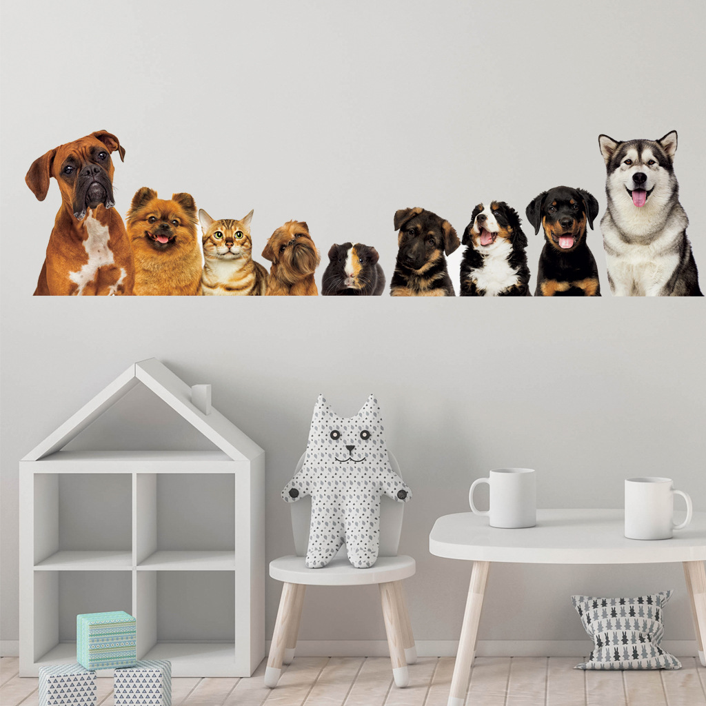 C30 #   9 simpatici gatti e ca - Home Cinema Wallpaper recensione e prezzo
